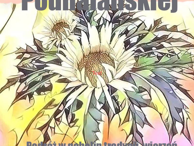 Międzynarodowe sadzenie Dziewięćsiłu/ Gwiazdy Arystokratycznej z Fundacją Wspierania Kultury i Współpracy Międzynarodowej im. Haliny&nbsp;Rosa.